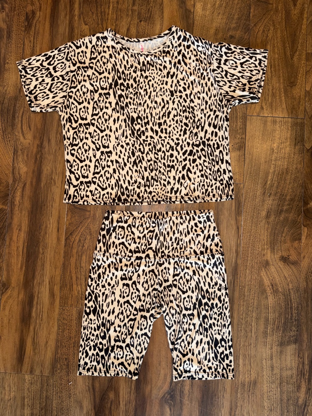 Leopard Print Two-Piece Shorts Lounge Set